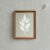 botanical-leaf-minimal-framed-wall-art