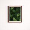 green-botanical-leaves-laminated-wall-frame