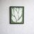 minimalist-botanical-leaf-laminated-frame
