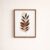 minimalist-botanical-leaf-wall-art-earth-tone-laminated-frame